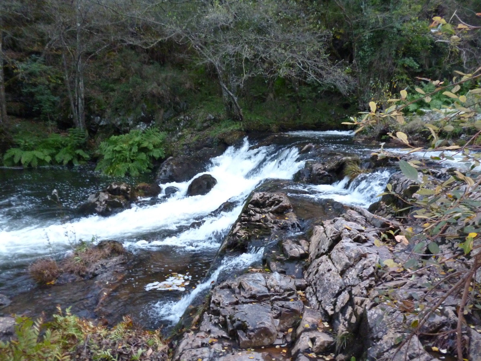 Apartamentos Rurales Veredas _ Oscos (82)